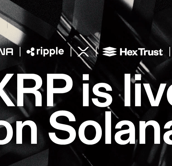 [리플 전망] 리플, 솔라나로 확장…XRP 디파이 확장 본격화