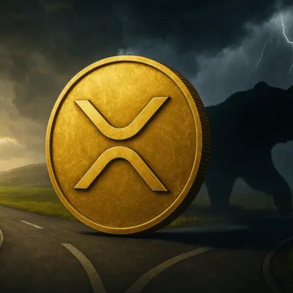 XRP 가격 하락에도 ETF 유입액 최고치 기록…리플의 향후 전망은?