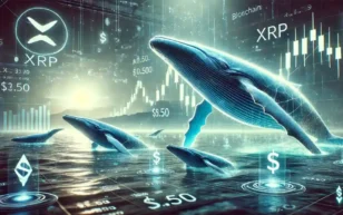 xrp whale