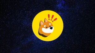 bonk koers