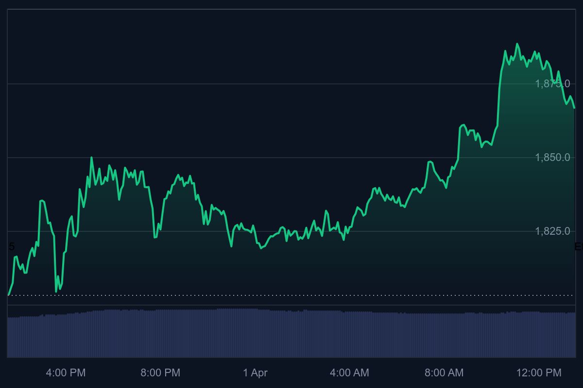 bear market, ethereum nieuws, solana nieuws, ethereum koers, solana koers, meme coins