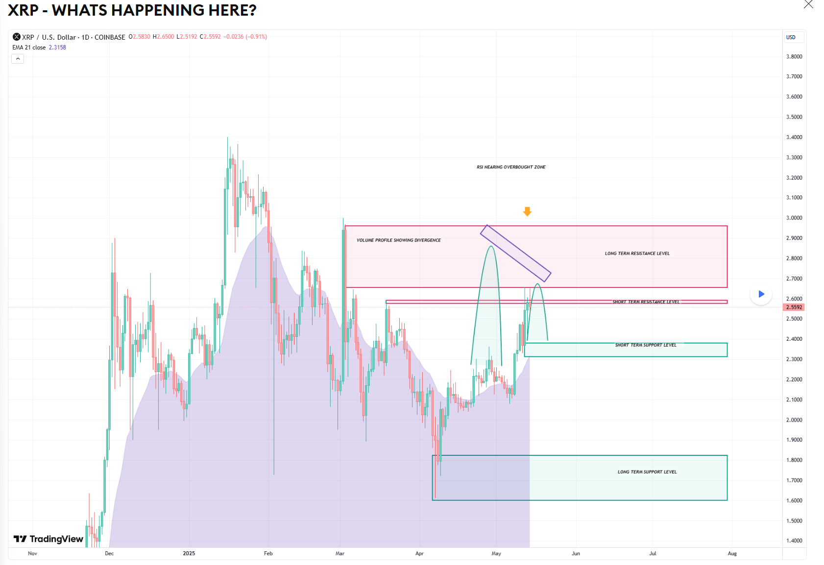 kan ripple 1000 dollar worden, crypto analist