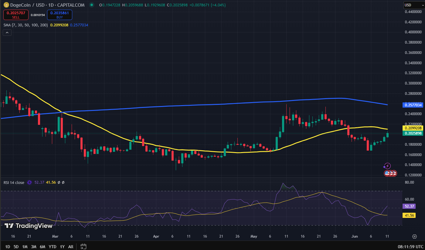 Dogecoin koers grafiek