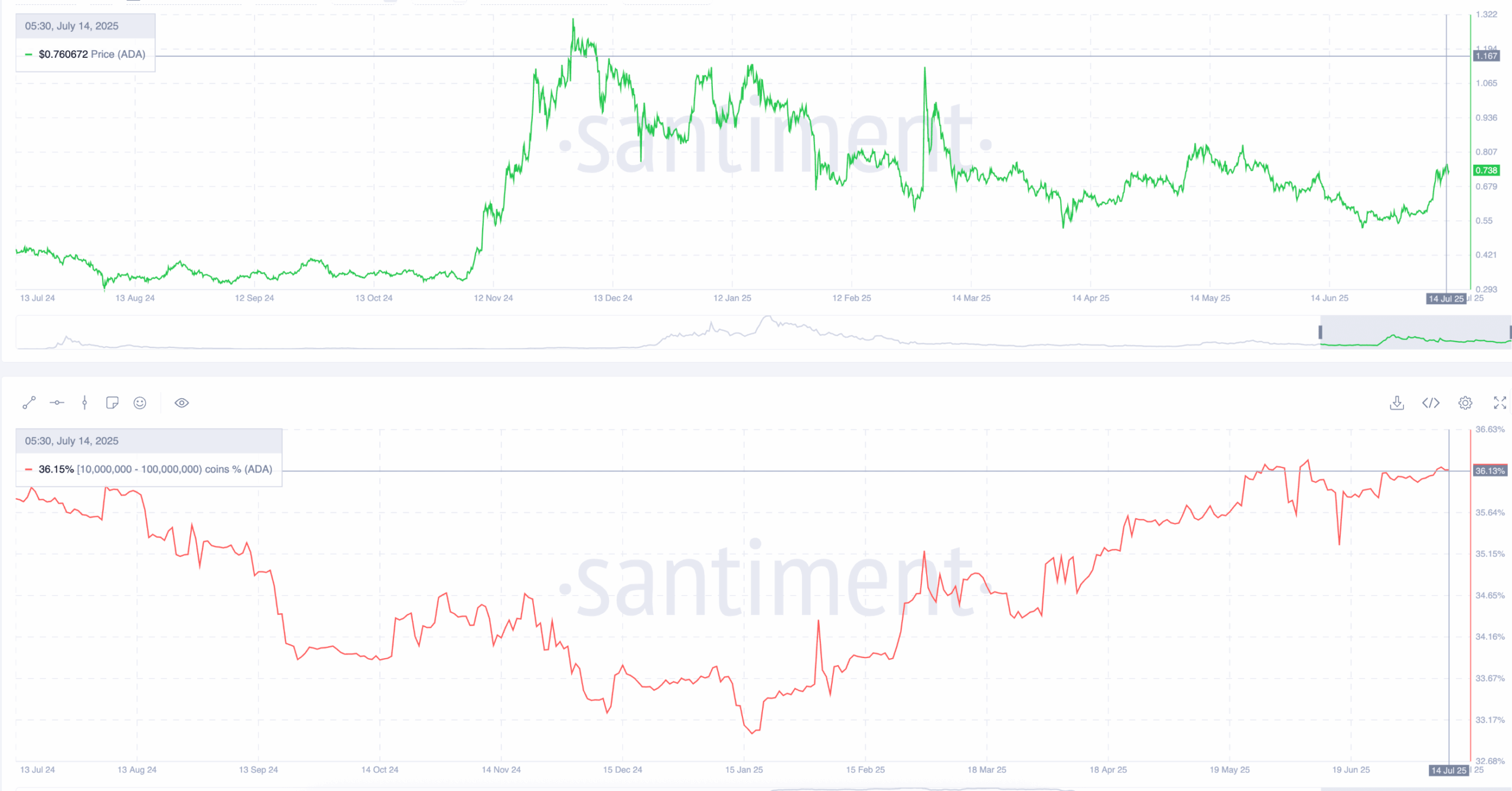 Cardano whales