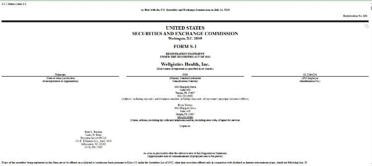 SEC filing Wellgistics