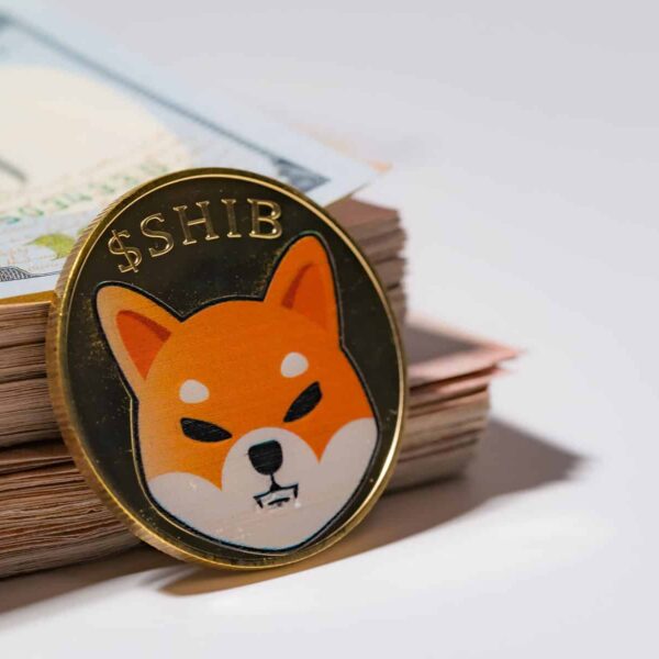 Longterm SHIB holders duwen de Shiba Inu koers richting $0,000015