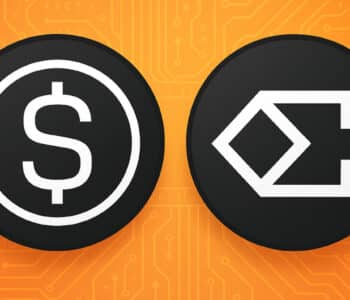 Stablecoin provider groeit $10 mld in 1 jaar – de stiekeme winnaar van 2025