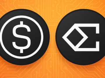 Stablecoin provider groeit $10 mld in 1 jaar – de stiekeme winnaar van 2025