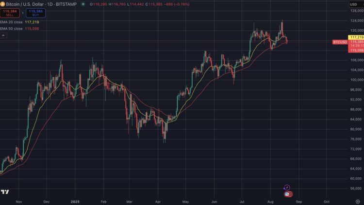 Bitcoin koers zakt onder 116.000 dollar terwijl Trump belooft de Oekraïne oorlog snel te beëindigen en de crypto markt reageert.
