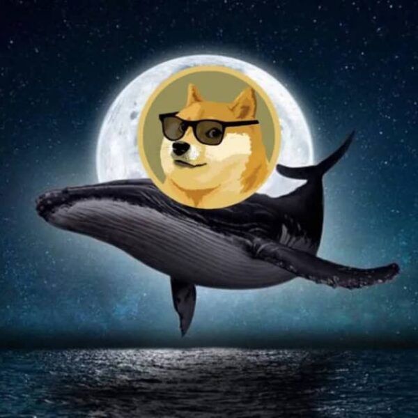 Doge coin vs Maxi doge – 10x of 100x, wie gaat het waar maken in 2025?