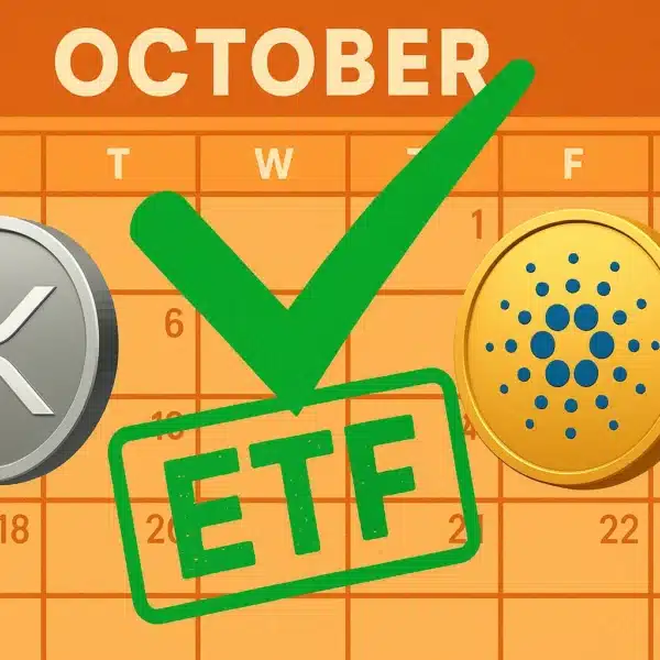Cardano vs XRP – beste altcoin investering na crypto crash
