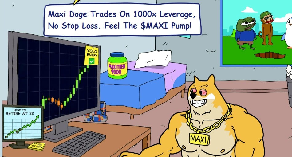 Meme coin maxi doge spreekt 'crypto bro's' aan.