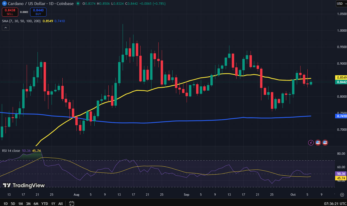 Cardano koers grafiek