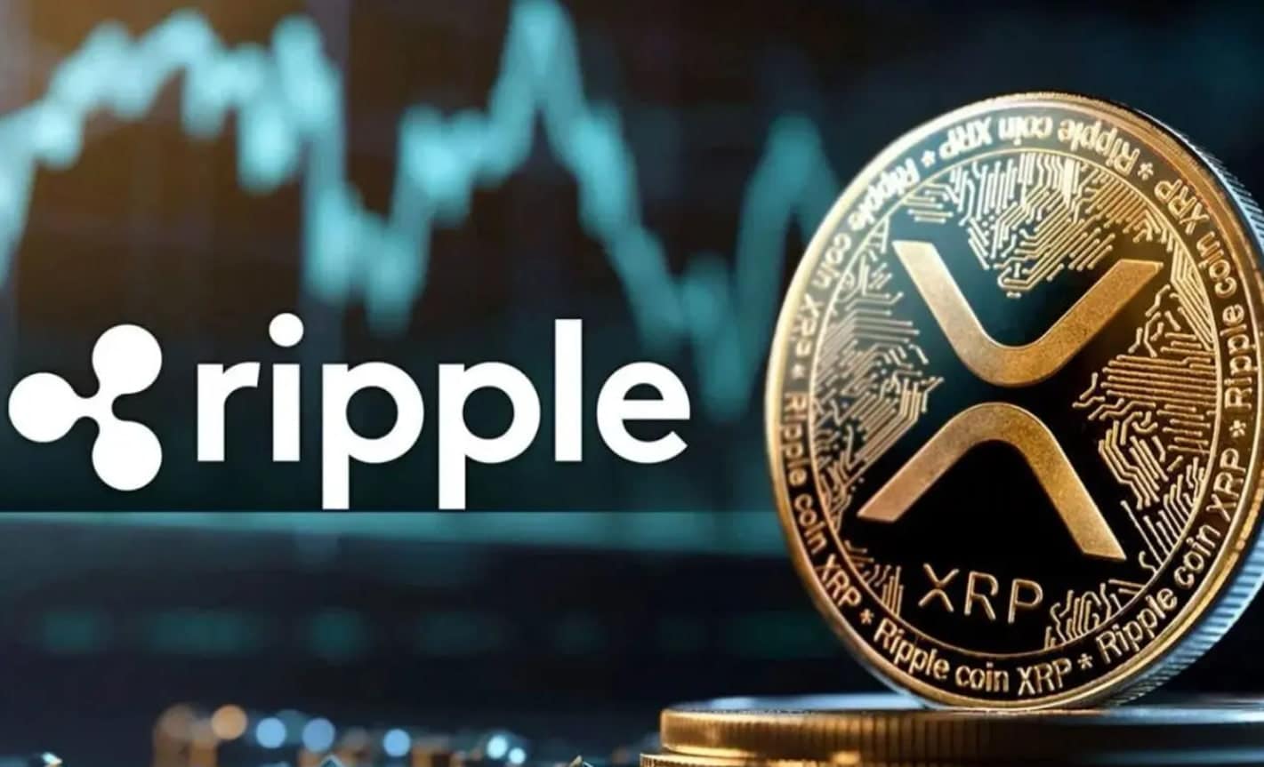 XRP ETF: Canary Capital Live Op 13 November