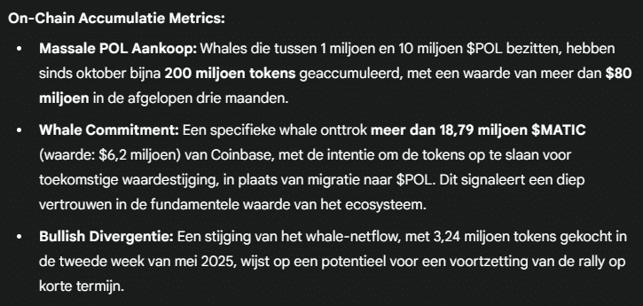 Polygon heeft veel potentie. Bron: Gemini AI