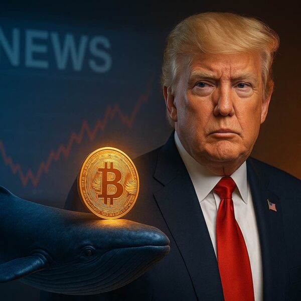 Cathie Wood: VS overheid start Bitcoin aankopen – BTC koers naar $100k volgende week?