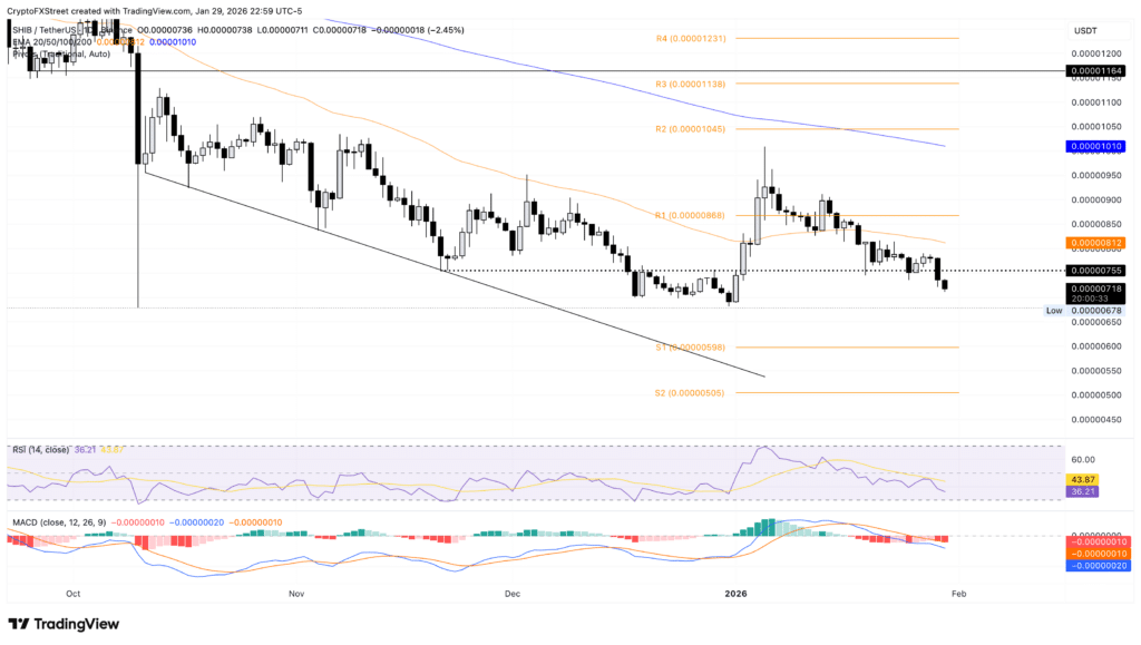 SHIB/USDT koers grafiek.