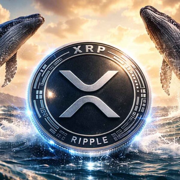 XRP ETF $1,3 miljard inflows in 50 dagen – mega whale aankopen stuwen koers naar $4