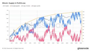 Bitcoin holders profit/loss koers