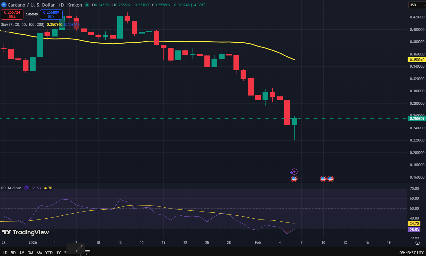 Cardano koers grafiek