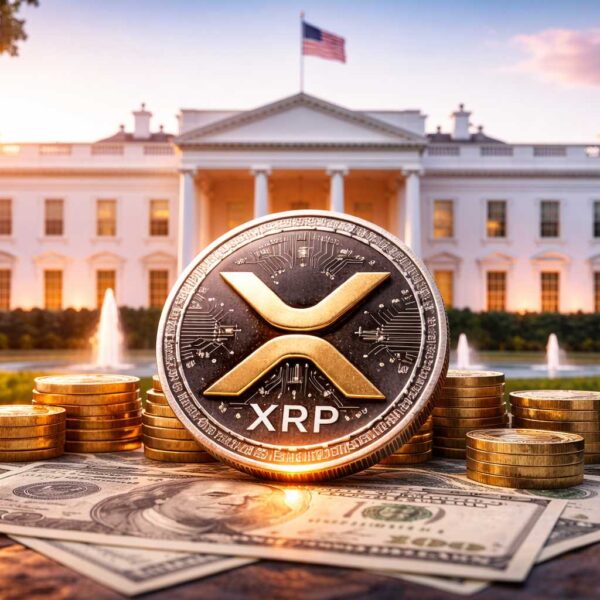 XRP netwerkactiviteit halveert: daalt de XRP koers nu verder?