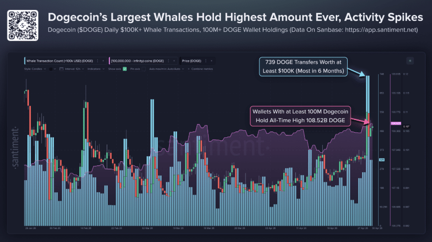 Dogecoin whale activiteit