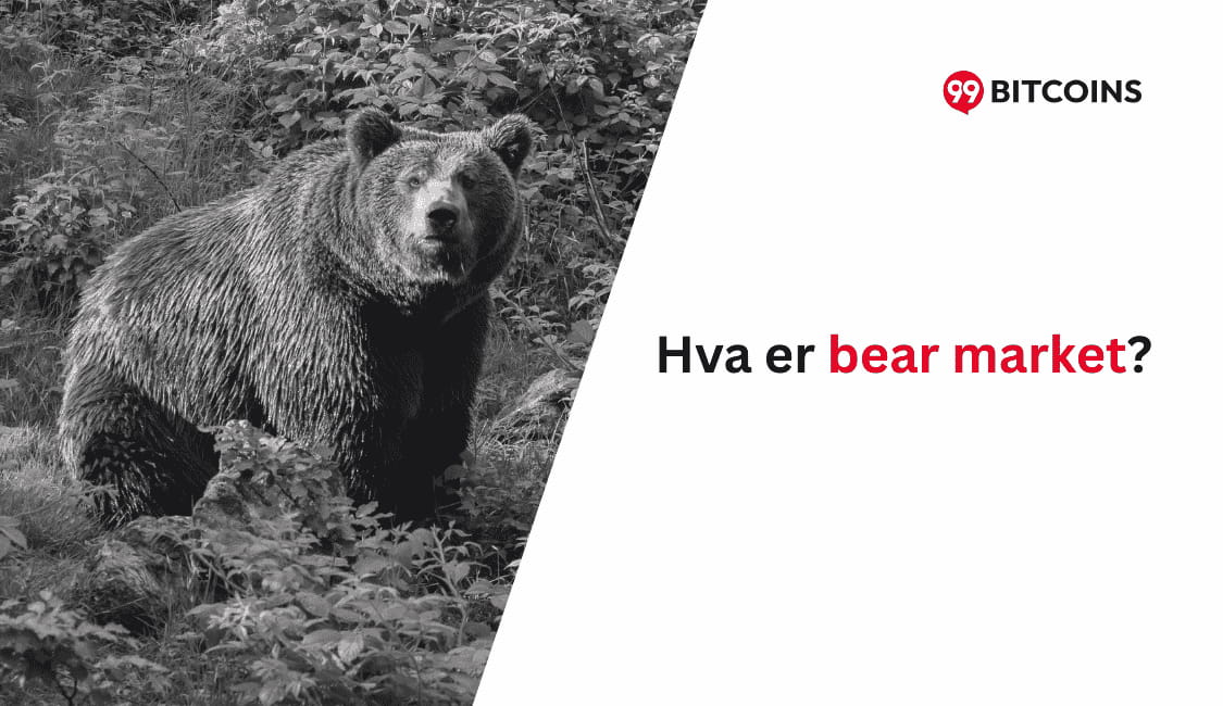 hva er et bear marked