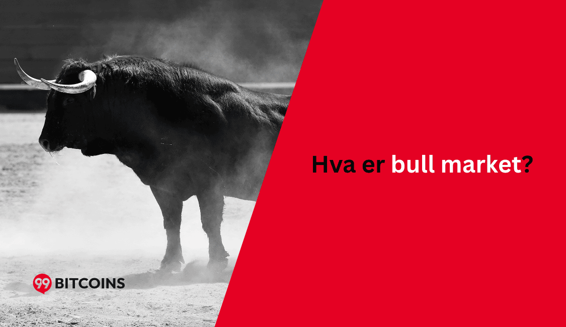 hva er et bull market