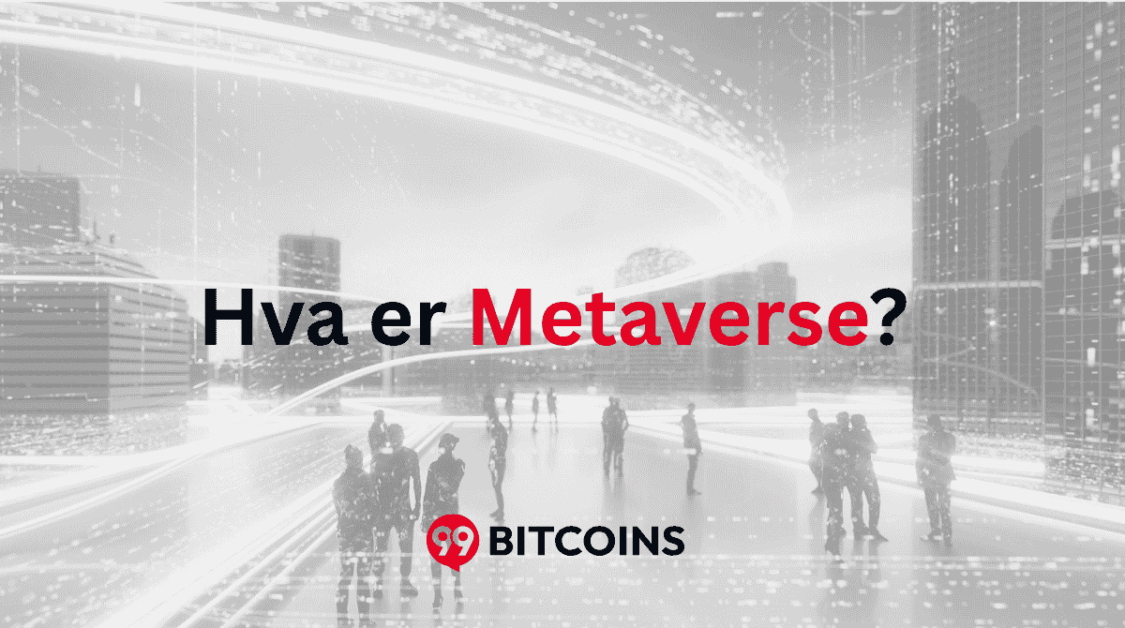 hva er metaverse