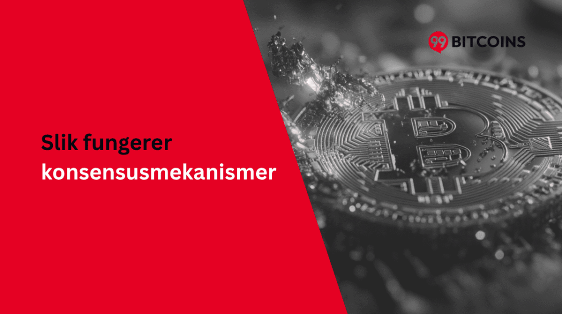 hvordan fungerer konsensusmekanismer