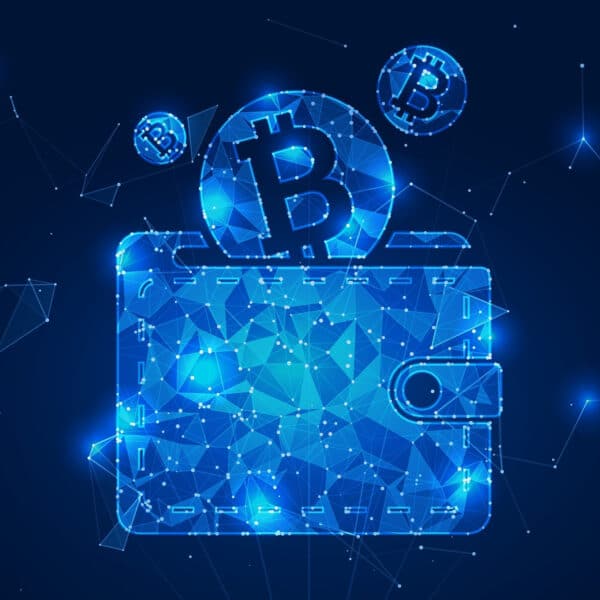 Биткоин Кошелек: Как Выбрать и Безопасно Хранить BTC в 2026