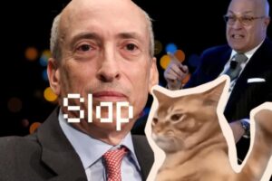 catspalp ve garry