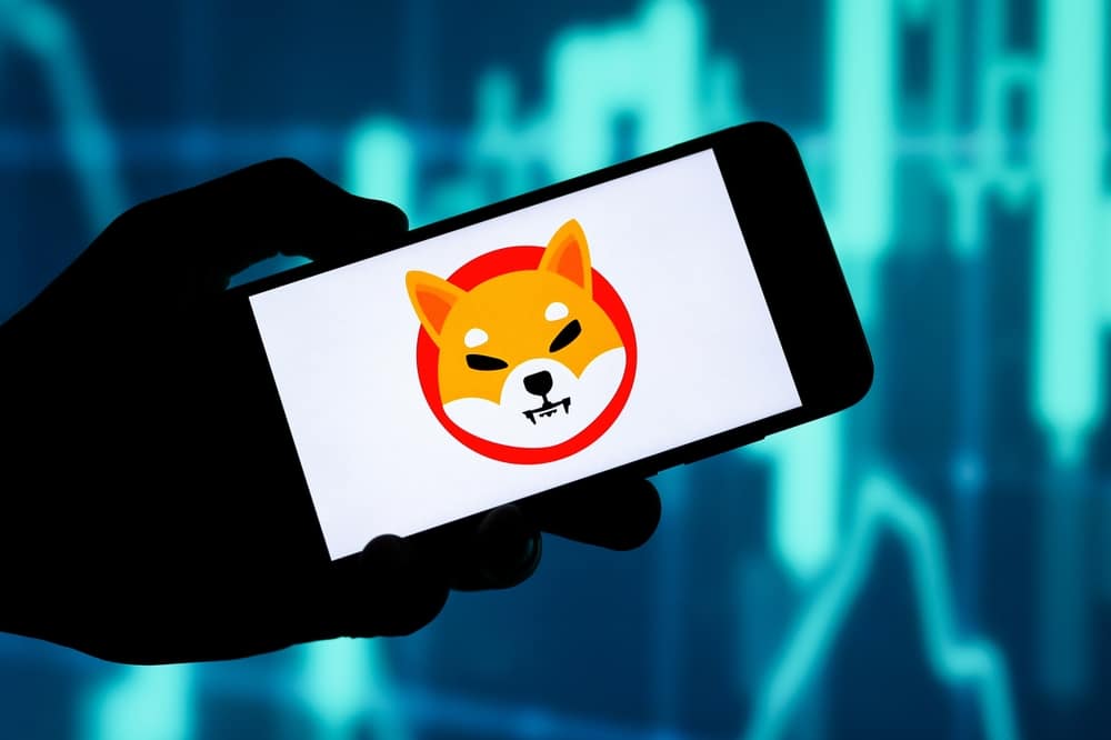 Shiba inu güvenlik