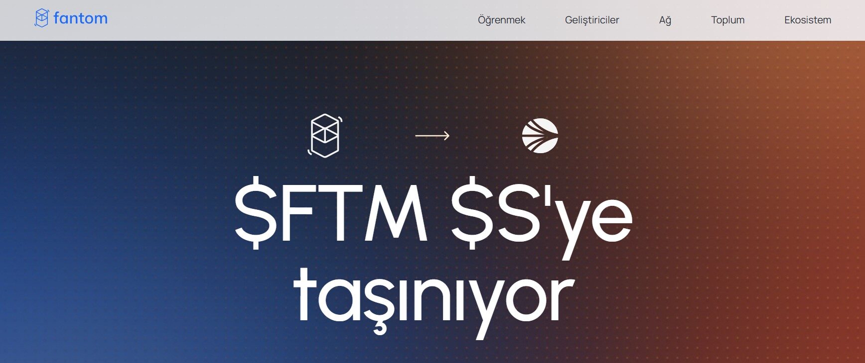 Fantom Nedir