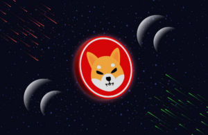Shiba Inu Nedir