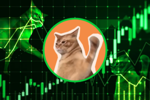 Catslap (SLAP) Yeni MOG Mu