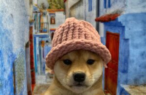 DogWifHat %50 Kripto Çöküşü Yaşadı, Ancak Şimdi WIF Fiyatı İçin Tekrar Alım Zamanı mı?