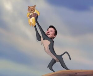 Catslap, 14 Ocak'taki 100K SlapDrop Turnuvasında Yeni Kazananlarını Açıkladı