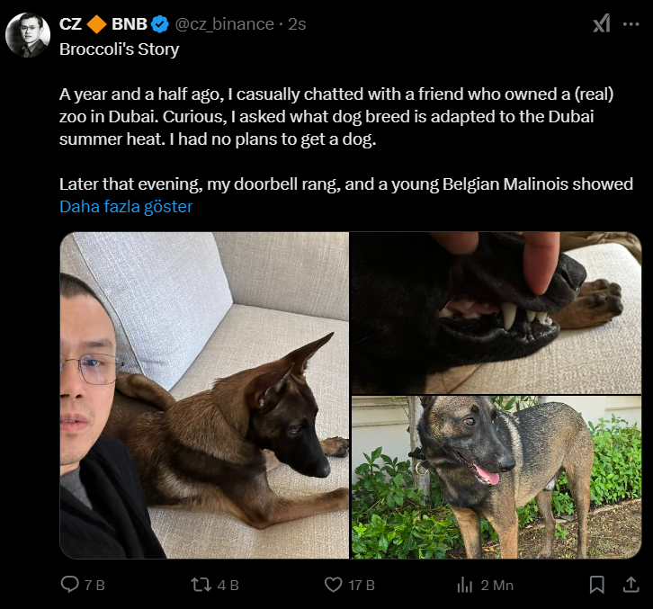 CZ'nin köpeği Broccoli