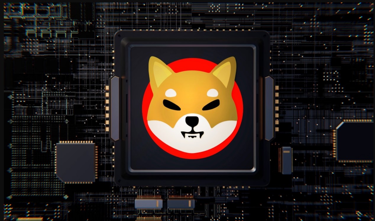 Shiba Inu