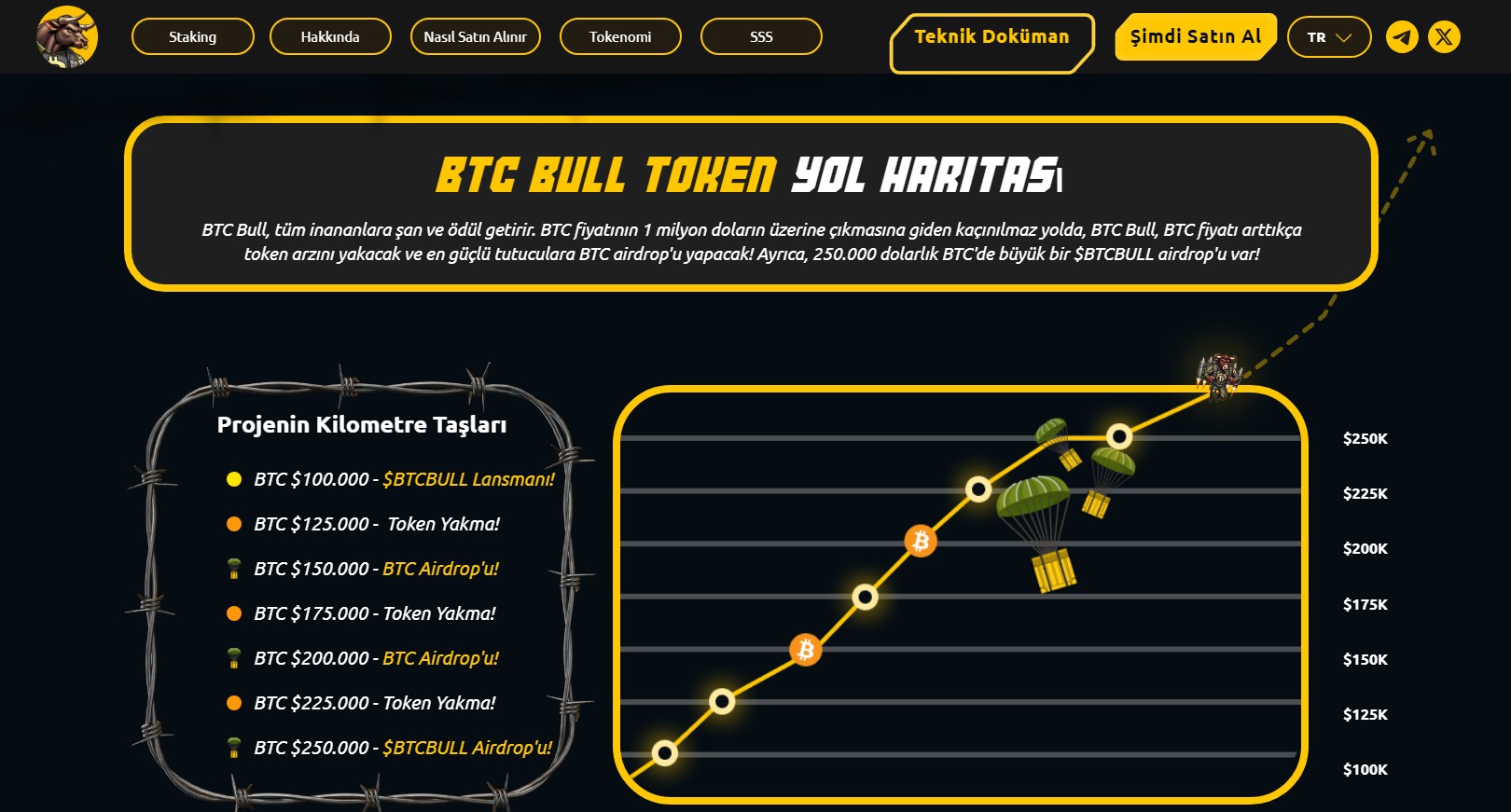 BTC Bull Token Nasıl Alınır?