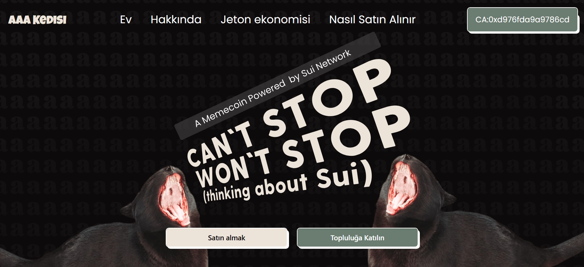 En İyi Sui Meme Coinleri Öne Çıkan AAA CAT