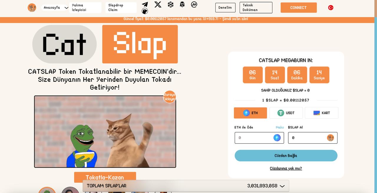 Yenilikçi Kedi Temalı ETH Meme Coin