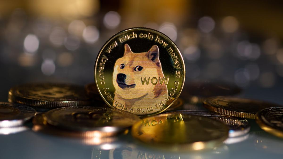 Dogecoin Çöküşü: Yatırımcılar Bir Düzeltme Beklemeli mi?