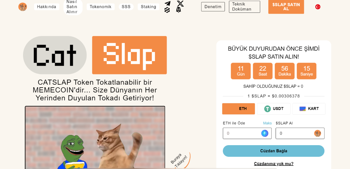 btfd coin fiyat tahmini-catslap