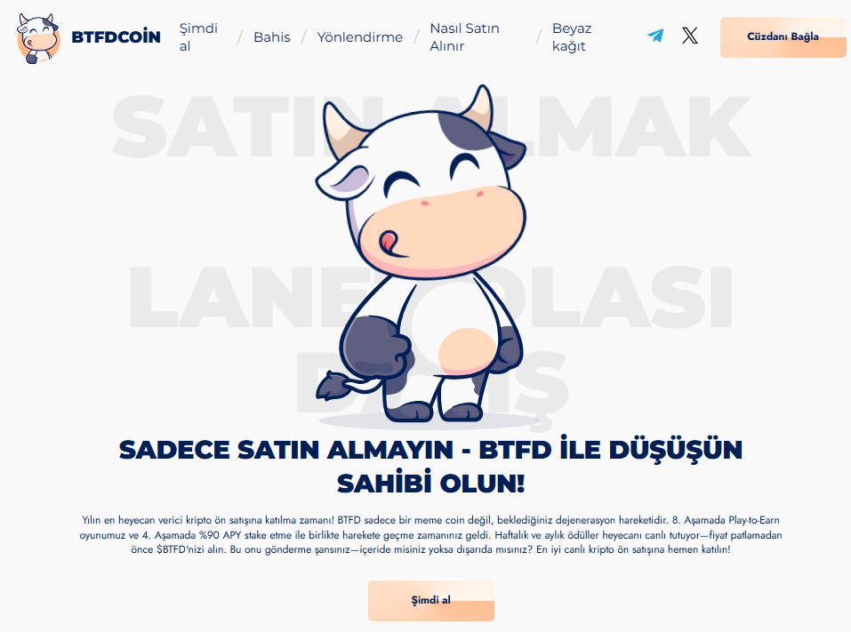btfd coin nasıl alınır