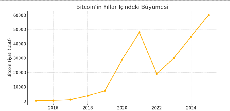 Bitcoin’in yıllar içindeki büyümesini gösteren bir grafik.