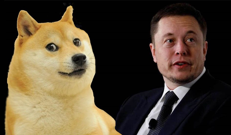 Elon Musk’tan Şok Röportaj: Kripto ve Dogecoin’i Neler Bekliyor?