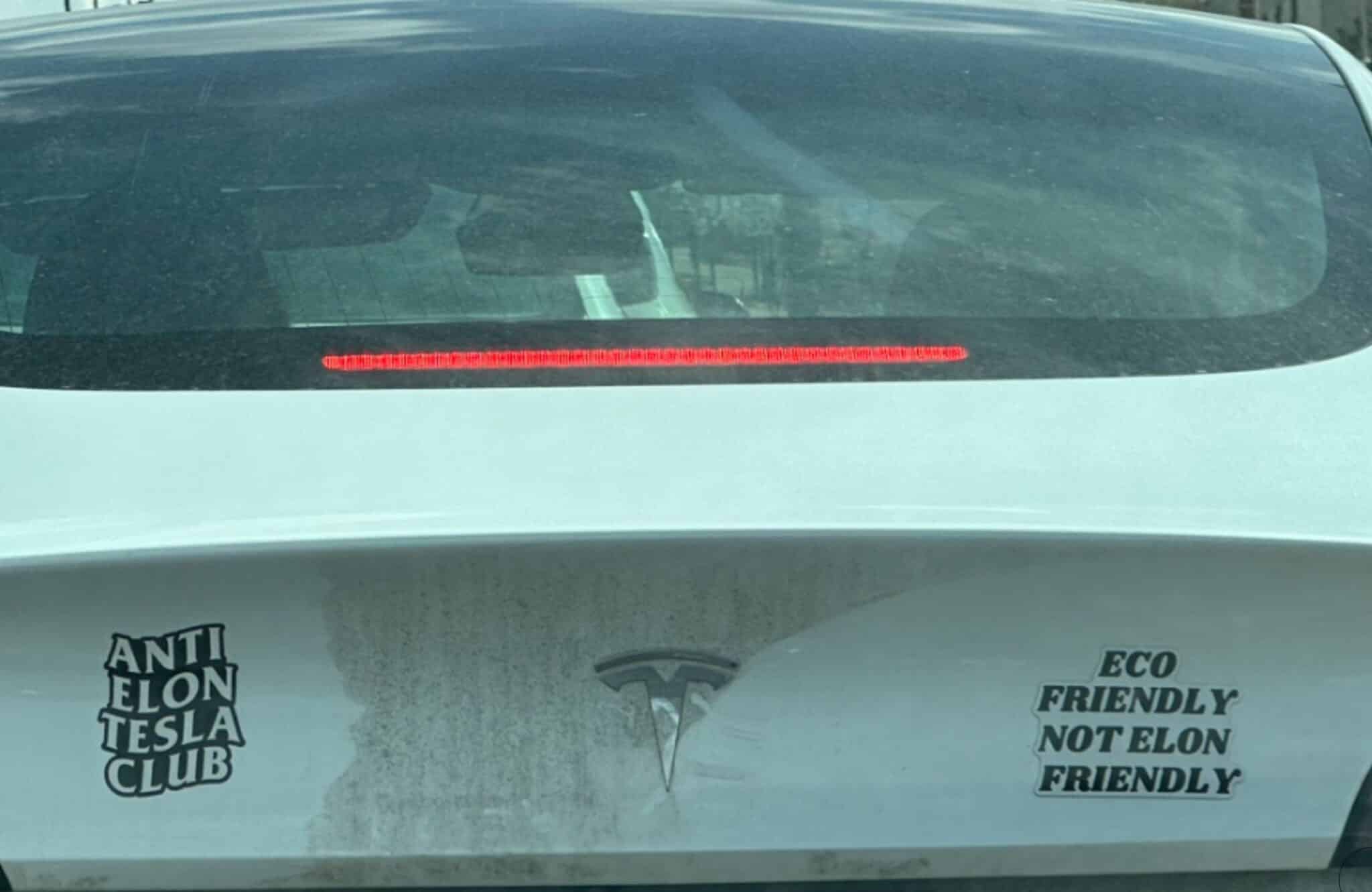 TSLA Put Opsiyonları: Yeni Bir Short Squeeze mi Geliyor? GME 2.0 mı?