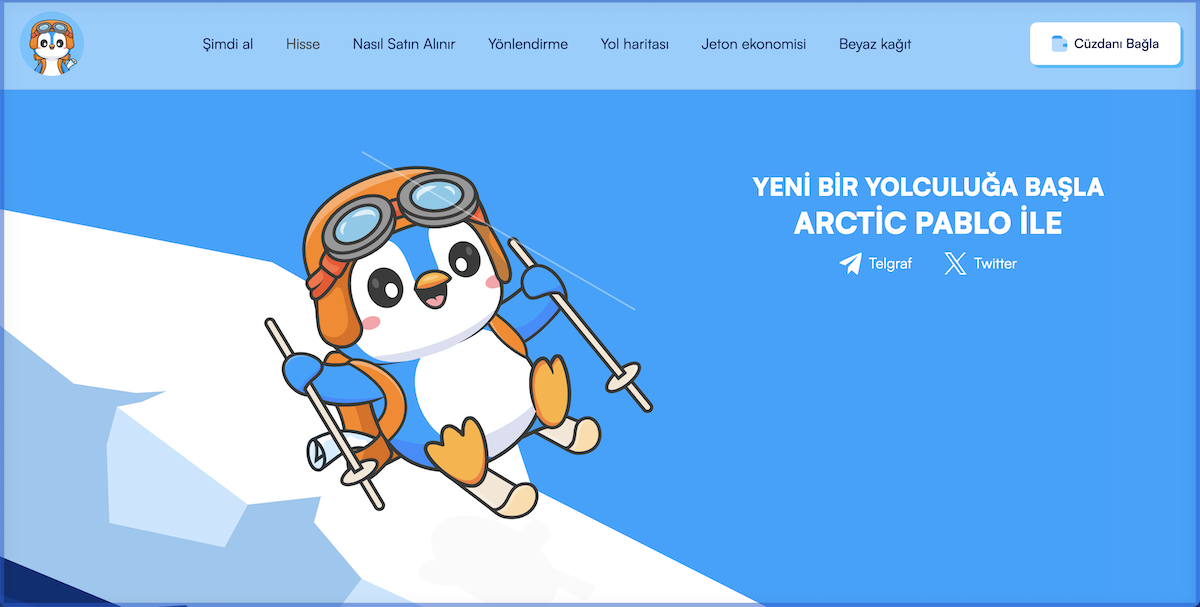 Arctic Pablo Yatırım İçin Uygun Mu?